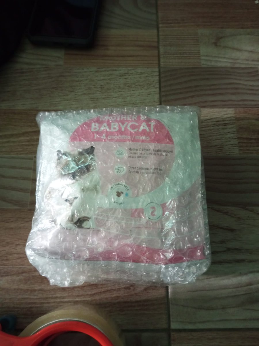 zian153's tweet image. Langsung kirim 😊

Royal Canin Mother 400 Gr Freshpack

Harga : Terjangkau
Stok : terbatas
Exp : 11-10-2024
Testimoni Order : instagram.com/p/CuoT0OJxEUQ/…

Untuk pemesanan silahkan kunjungi toko kami 
di Tokopedia : tokopedia.com/hafizhmart15/r…

Terima kasih 🤗
#RoyalCanin #MakananKucing