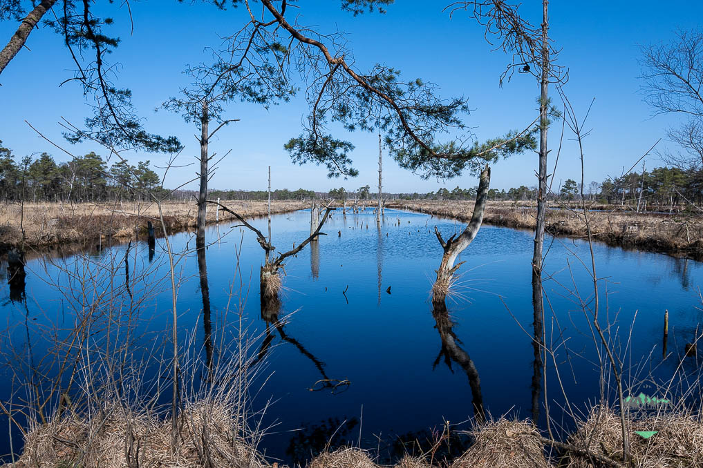 Seit 2001 wird der 22. Mai als Internationaler Tag zur Erhaltung der Artenvielfalt benannt. Der Tag erinnert an die Relevanz der Erhaltung der Artenvielfalt. 
#Artenschutz #Artenvielfalt #Biodiversität #Naturschutz #restorenatur

tberg.de/internationale…