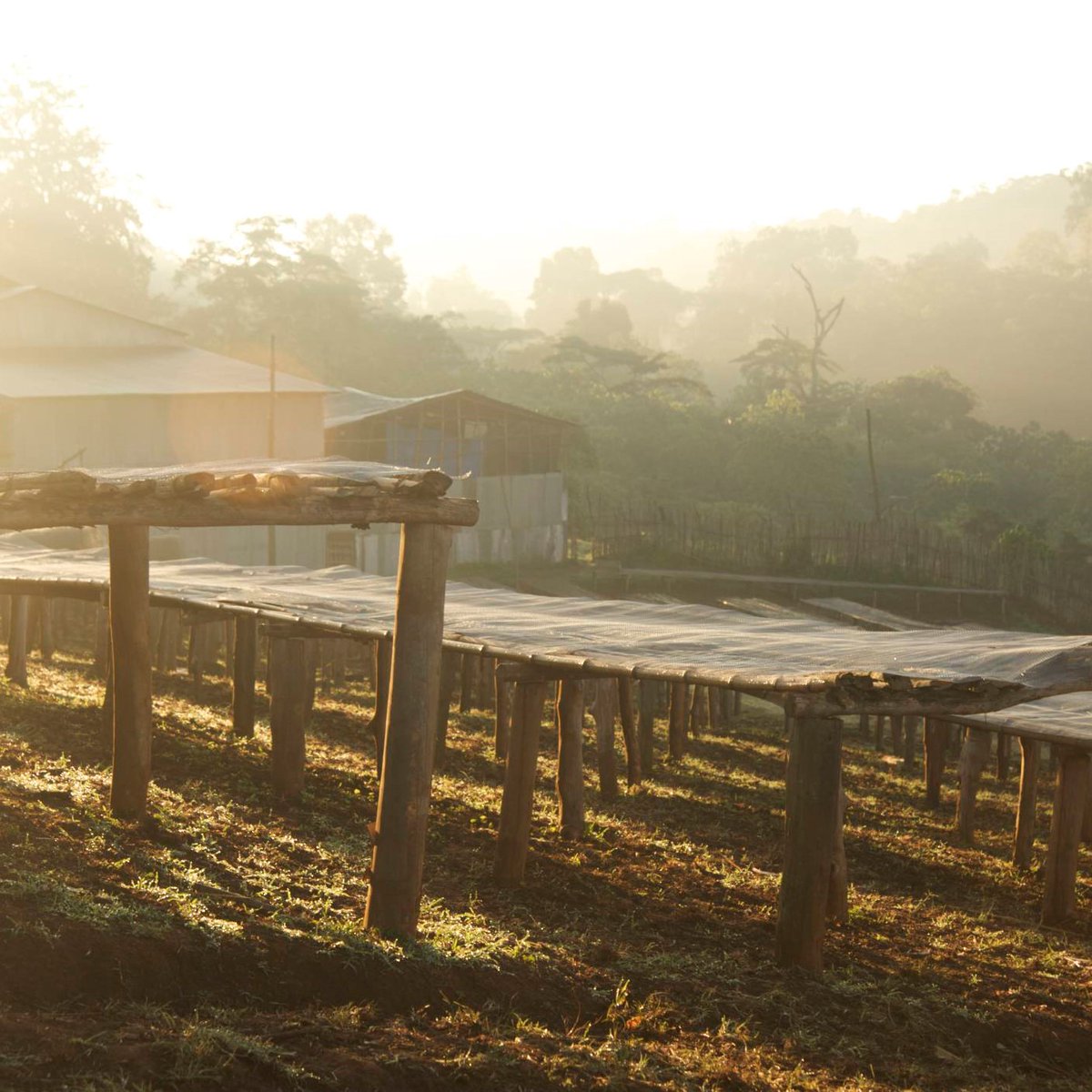 Trabocca tweet media