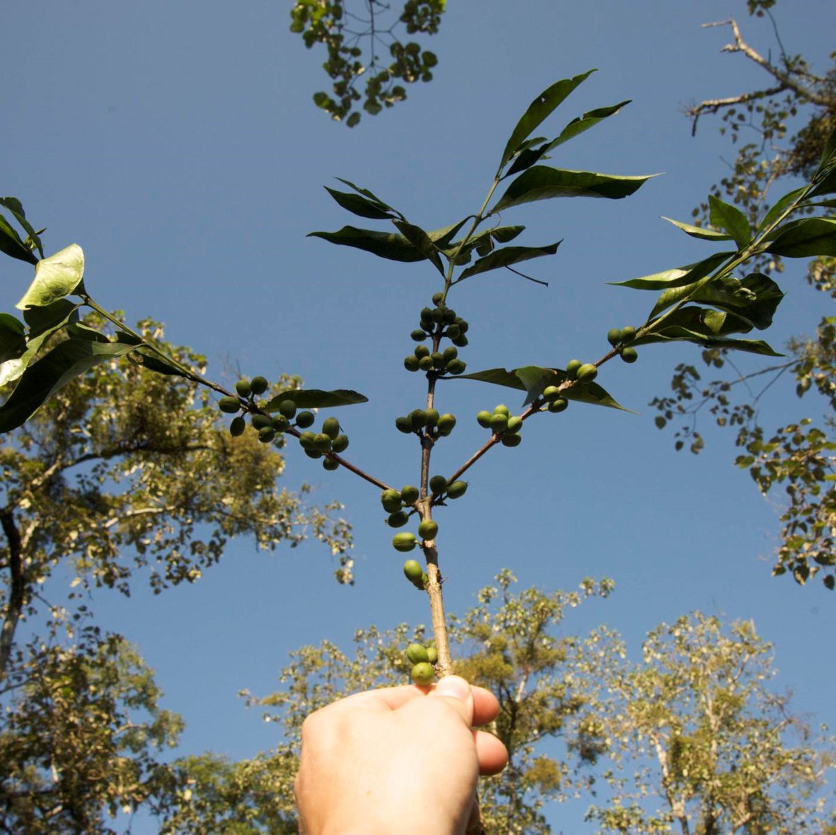 Trabocca tweet media