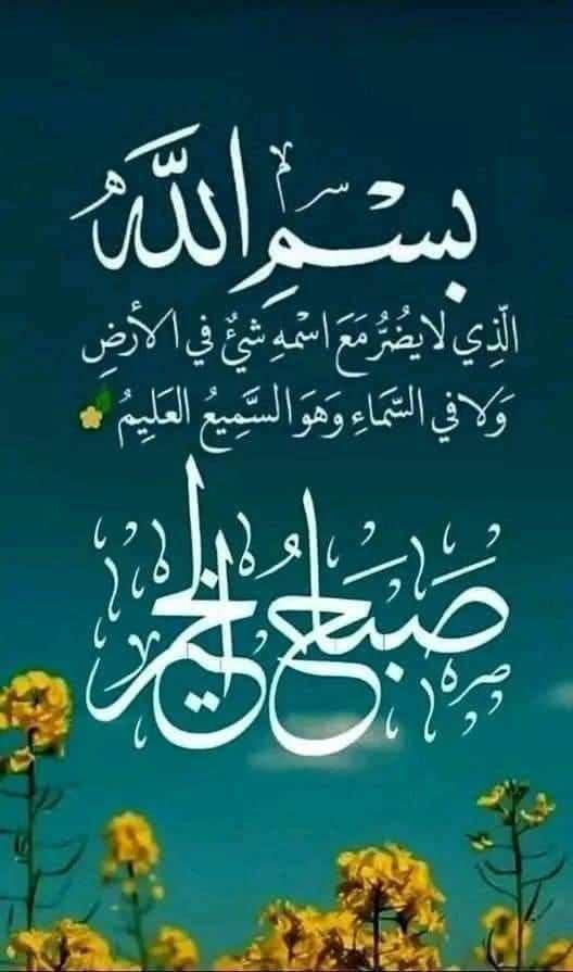 وداد العراقي عراقي tweet media