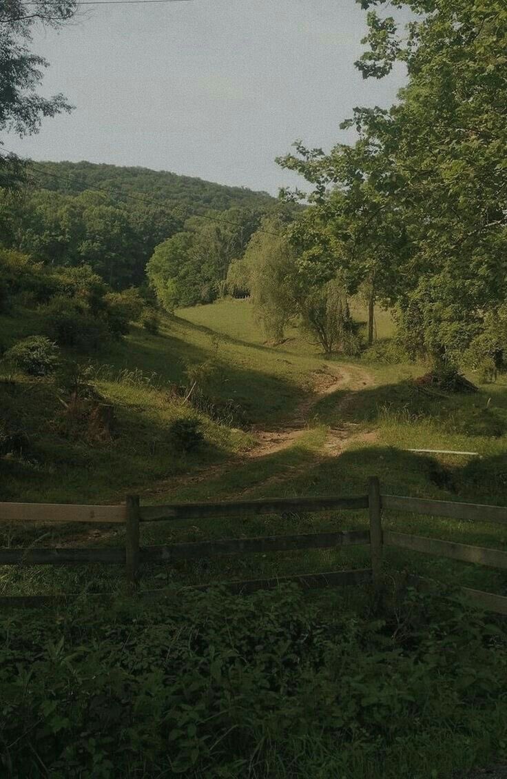 greendreamvibes's tweet image. Fresh.