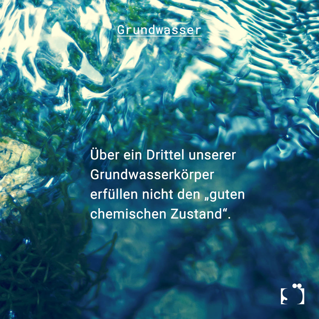 Mehr Schutz für unser #Grundwasser: Im Forschungsprojekt "gwTriade" wird ein #Bewertungskonzept für #Grundwasserökosysteme entwickelt. Es beinhaltet #ökotoxikologische Biotestverfahren, chemische Analytik und die Erfassung der #Faunadiversität: isoe.de/news/wie-die-g…