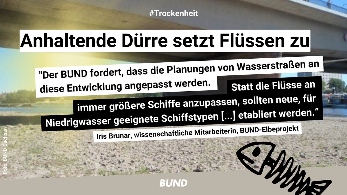 Zu wenig Regen u. sinkende Wasserstände: #Trockenheit macht unseren Flüssen zu schaffen. Statt sie durch Ausbau on top zu stressen, sollten wir die wichtigen Lebensadern u. Transportwege renaturieren. Und die #Wasserrahmenrichtlinie umsetzen. #WRRL ℹ️ bund.net/service/presse…