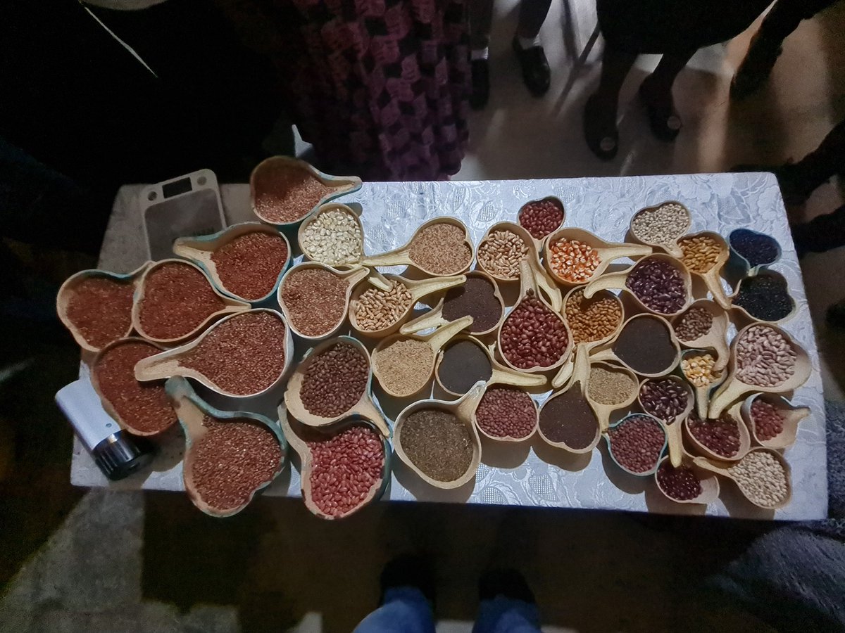 c_fadda's tweet photo. Great to be in #Kenya #Kabudi seed bank to discuss farm aggregation to ensure #naturepositive solutions can be scaled to protect the environment, improve food and nutrition security, through #agrobiodiversity  and improved management. @CGIAR @BiovIntCIAT_eng https://t.co/0fyZR8TIPL