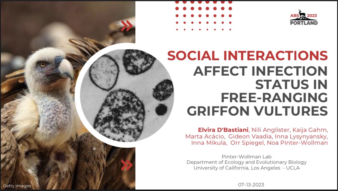 Hey! I'll presenting my talk at #ABS2023 today 4pm at B114 room. I’ll talk about the impact of social interactions (in different situations) on the probability of infection! Hope to see you there!