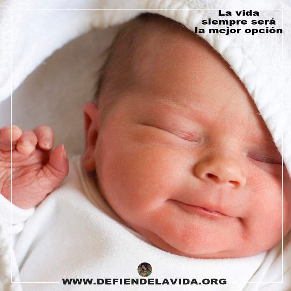 defiendelavida.org