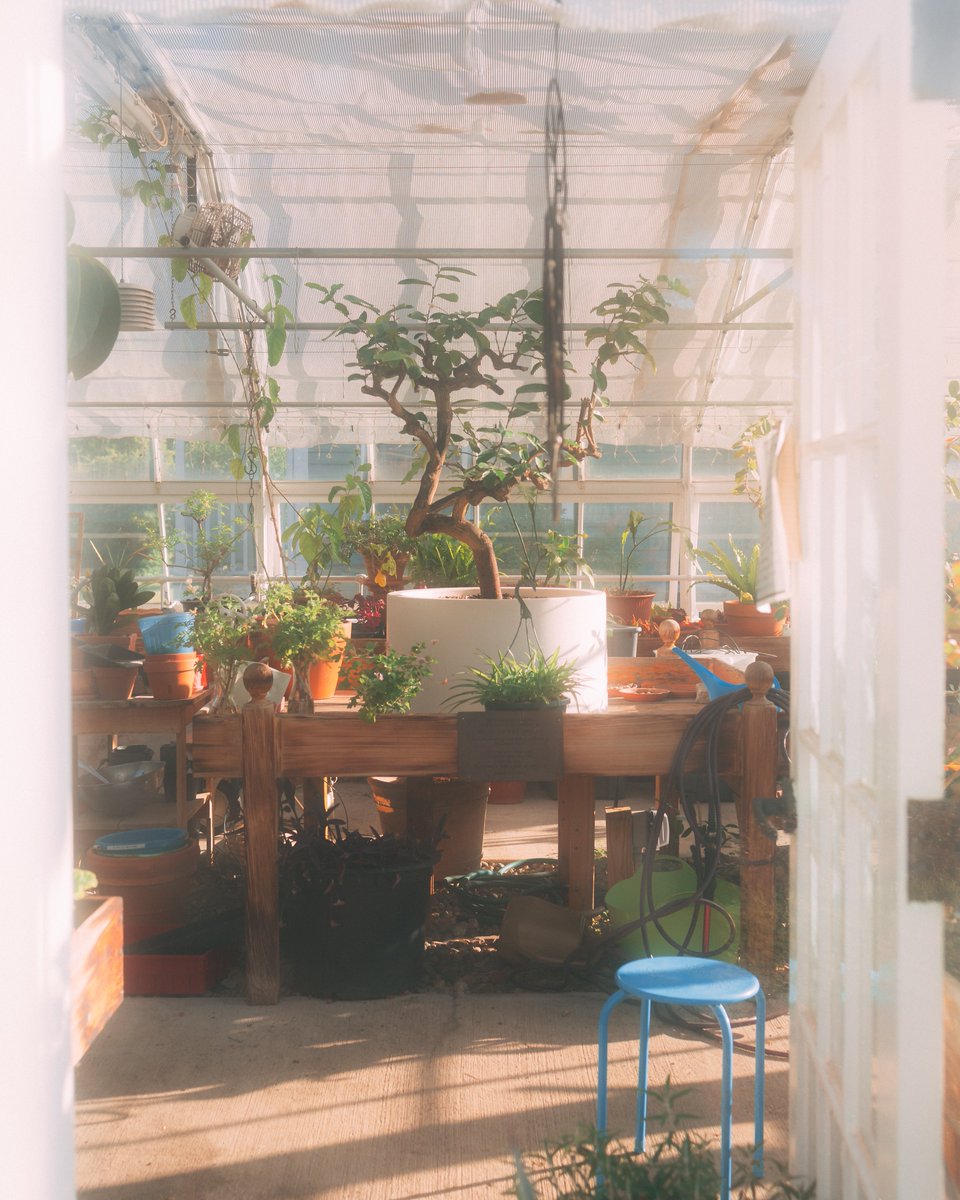 Gm to the photographers who do it for the art.