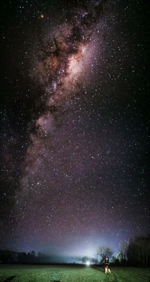 By Cristian #Chile 'The #galactic center, elsewhere, and with another cell phone.
(Tap to see the complete photo)
#Redmi note 11
📷 #Gcam BSG Premium 8.1
⚙️ XML lisde revolution
✨ #NightSight (#Astrophotography)
🔎 Main Lens
🛠 3 phs in #Bimostitch App.
🎨 #LR #milkyway