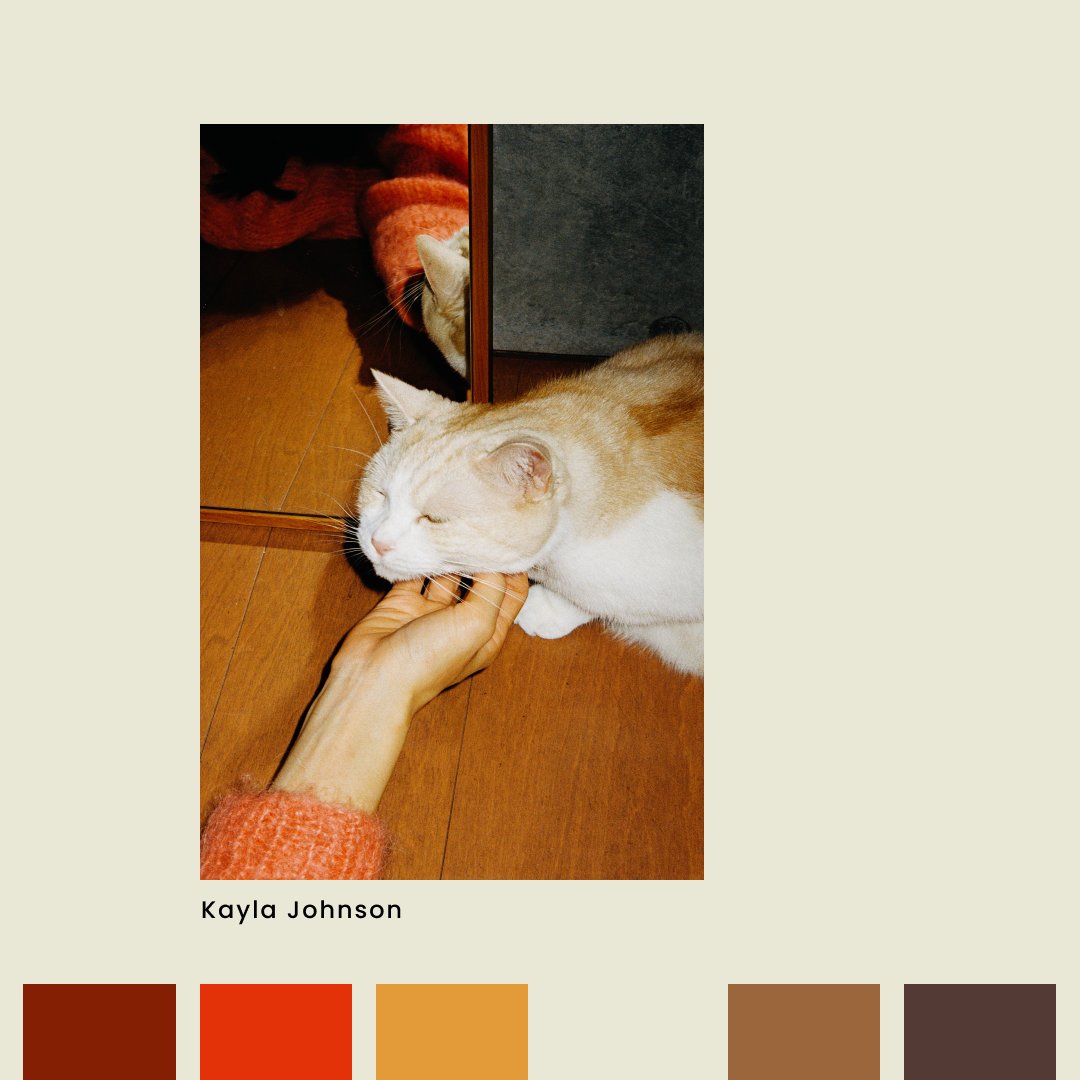 StocksyUnited's tweet image. Can you smell what Stocksy is cooking 🧑‍🍳

Spice up your creative palette with fall's irresistible flavors 🍕

ow.ly/oHtr50P25wN

#FallColorPalette #CreativeInspiration #AutumnVibes #VisualDelights