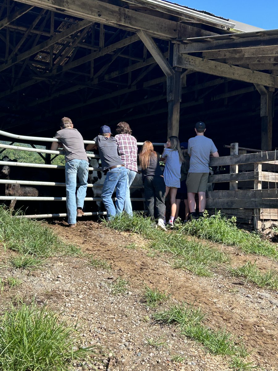 mhhscte's tweet photo. Great week of CTE Summer Accelerator Camps, Farm To Fork has been tons of fun, filled with great experiences. https://t.co/ADhSMfeAcd