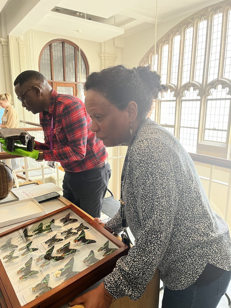 Manchester Museum (@mcrmuseum) on Twitter photo We’re starting conversations & building new stories around our objects from the Caribbean.
This afternoon <a href="/NjabuloChipangu/">Njabulo Chipangura</a> & Diana Arzuza <a href="/MuseumInsight/">McrMuseum Collection</a> have been connecting our Living Cultures & Entomology collections with the stories of #Windrush.
👉 museum.manchester.ac.uk/collections/re… We’re starting conversations & building new stories around our objects from the Caribbean.
This afternoon <a href="/NjabuloChipangu/">Njabulo Chipangura</a> & Diana Arzuza <a href="/MuseumInsight/">McrMuseum Collection</a> have been connecting our Living Cultures & Entomology collections with the stories of #Windrush.
👉 museum.manchester.ac.uk/collections/re…
