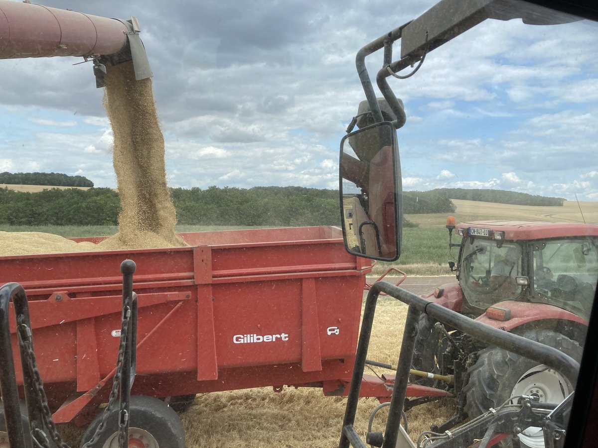 OlivierCOSTE2's tweet image. Il y’a 40 ans on terminait la moisson,le 24 août pour la fête patronale.
Quand j’ai débuté dans l’#Agriculture on finissait dans l’Yonne,au 25 juillet.
Cette après-midi et avant le #14juillet,
le jour de la #FeteNationale,on devrait finir la #Moisson2023 dans l’#Orge.