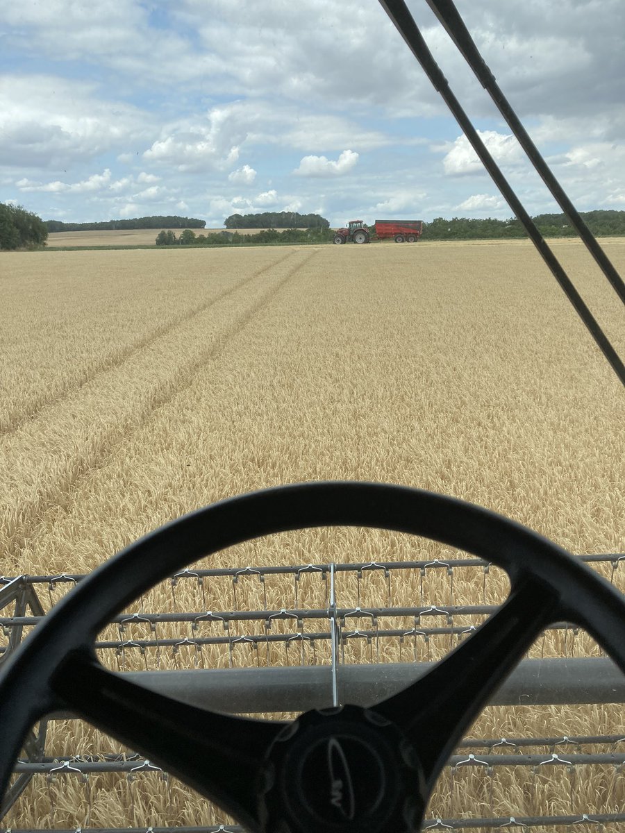 OlivierCOSTE2's tweet image. Il y’a 40 ans on terminait la moisson,le 24 août pour la fête patronale.
Quand j’ai débuté dans l’#Agriculture on finissait dans l’Yonne,au 25 juillet.
Cette après-midi et avant le #14juillet,
le jour de la #FeteNationale,on devrait finir la #Moisson2023 dans l’#Orge.