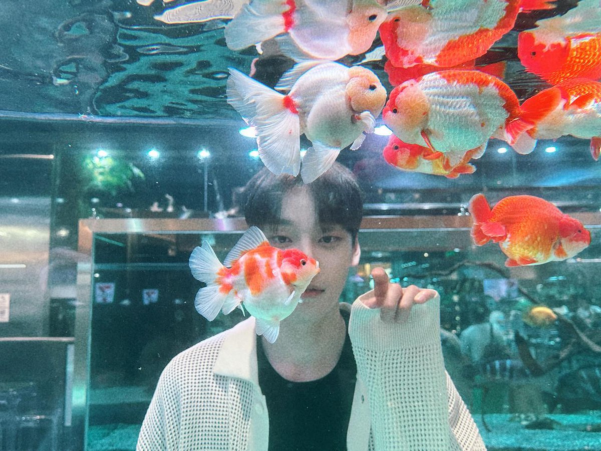 TEDY917's tweet photo. 아 너무 귀엽다 https://t.co/6KdaGEmIaw