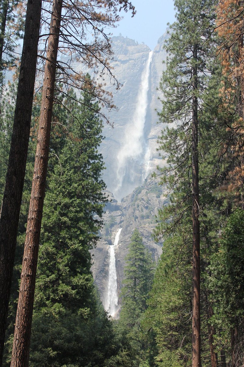 lancebloke83's tweet photo. @mlyonphotos Few of mine. Argentina, US and Wales. https://t.co/HvwhxqqVbZ