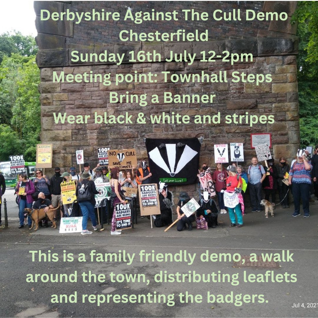 DerbyshireAgainstTheCull tweet media