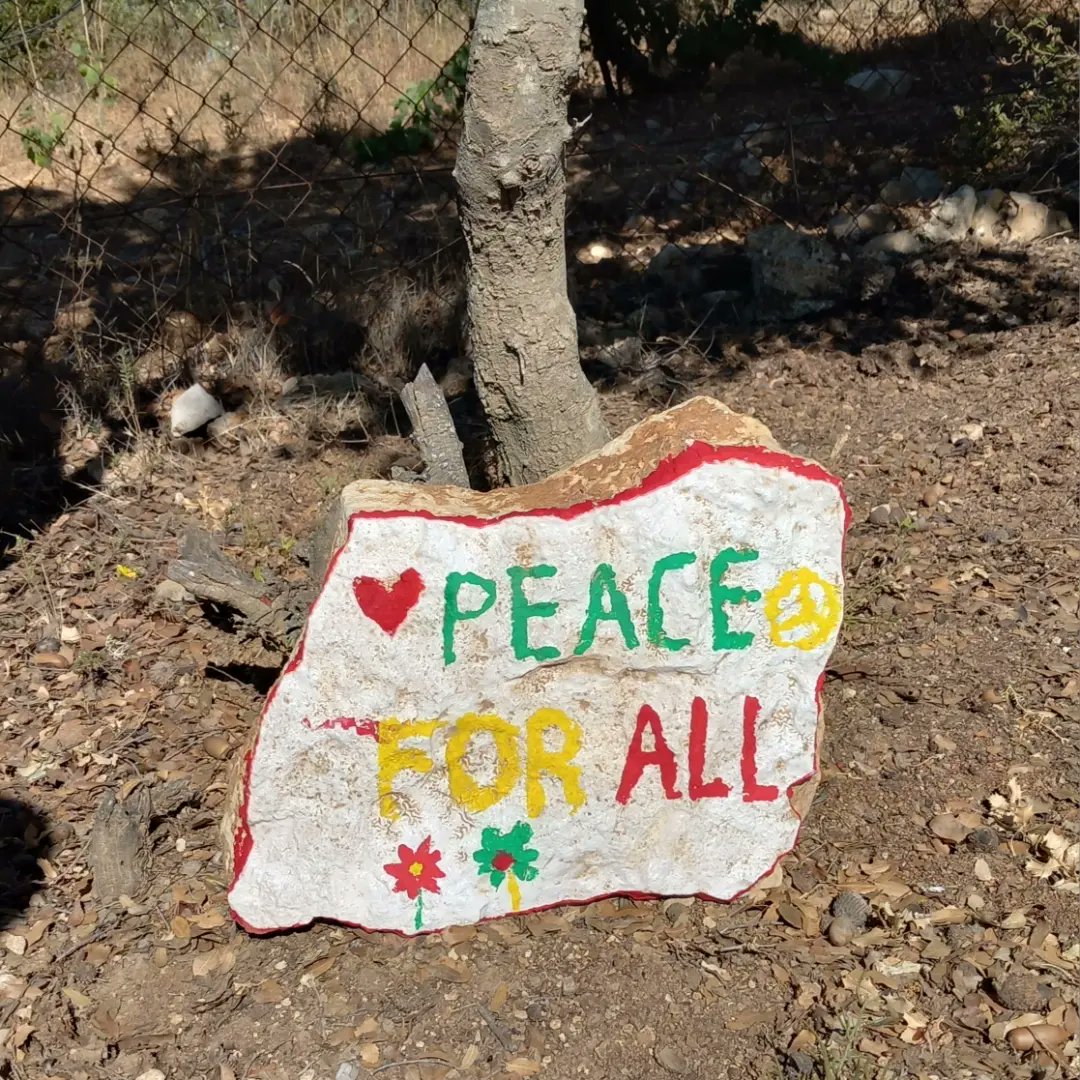 "Vad drömmer du om i framtiden?" - Teckna dina drömmar i din hand.

På Tent of Nations håller familjen Nassar varje år sommarläger för barn som växer upp under ockupation. Sommarlägret ger barnen en chans att leka och lära sig om miljö, natur, och icke-våldsprinciper. 🕊☮️