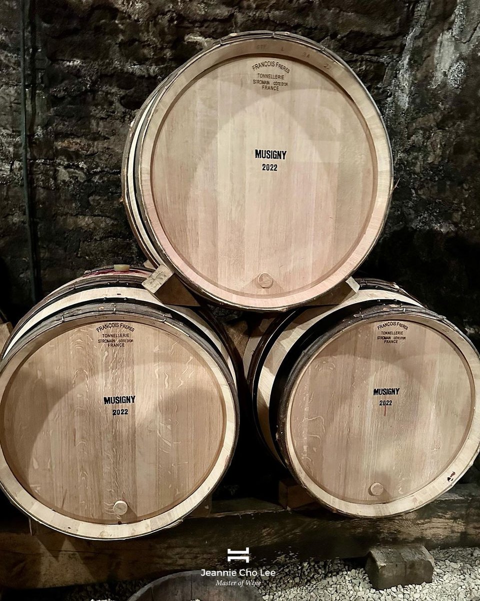 JeannieChoLee's tweet photo. Always a treat to taste at Domaine Leroy — the 2022s are superbly concentrated and all the wines in this vintage offer sumptuous tannins and persistent finish!
#winetasting #vosneromanee #musigny #richebourg #grandcru #bourgogne #burgundy #wine #winetime #winetasting #winelover https://t.co/QuJ5lCNnPI