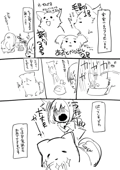 今日のいきぬきにっき