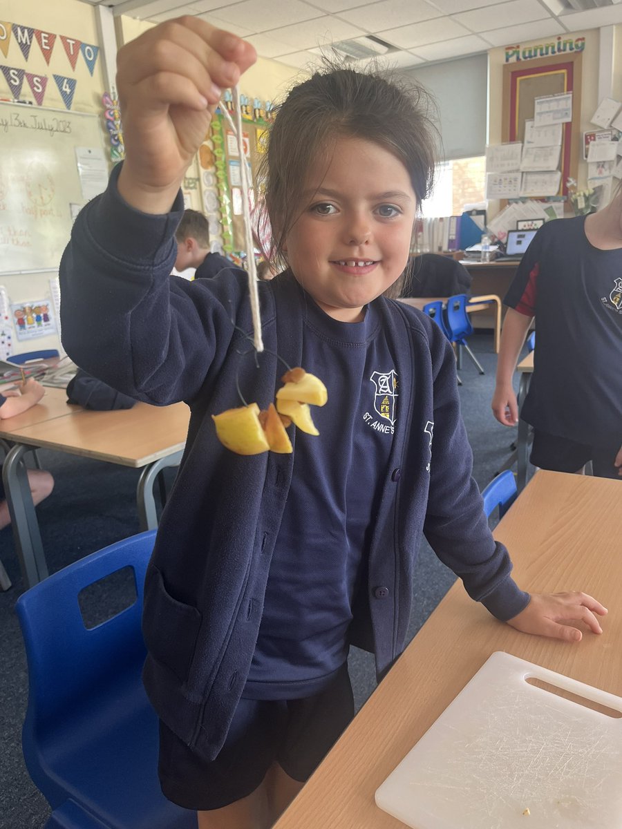 Class4KR's tweet photo. We have made brilliant bird feeders to feed the birds and hung them up ready! https://t.co/xkDI7FpOWT