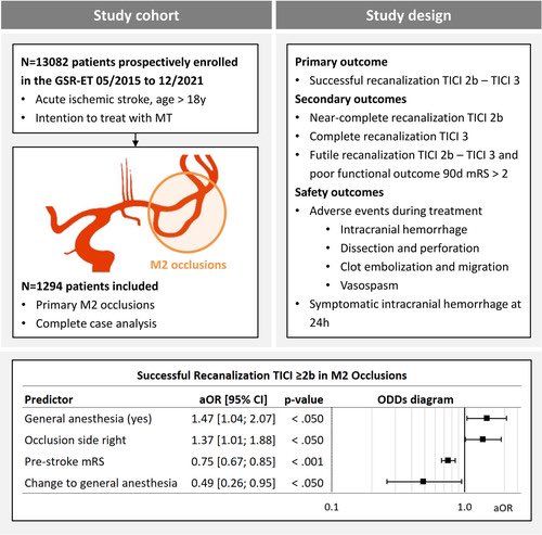 AshuPJadhav's tweet photo. Thrombectomy for M2 Occlusions: Predictors of Successful and Futile Recanalization | Stroke https://t.co/nCtFN9VVwl https://t.co/tQ29wncKNm