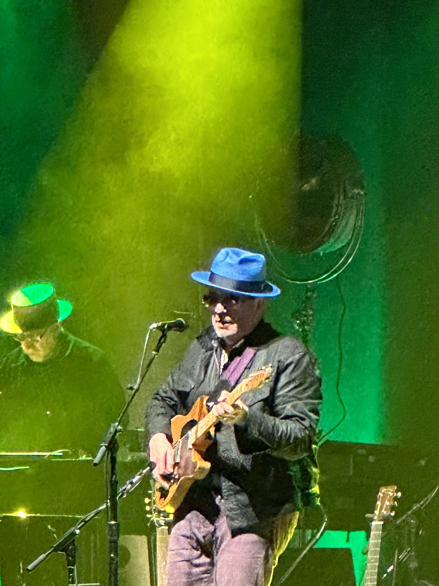 Allison Rapp on Twitter: