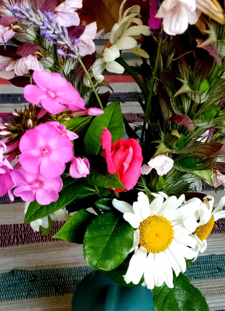 twitgeridoo's tweet photo. Kann ich mich hier eventuell mit einem bunten, freudig strahlenden Strauß Blumen beliebt machen? ;)

Selbst angebaut, liebevoll gepflegt, behutsam und nachhaltig geerntet, akribisch arrangiert und komponiert, bio-öko-sozial und ausbeutungsfrei produziert, regional und co2neutral! https://t.co/4RR9PhF8po