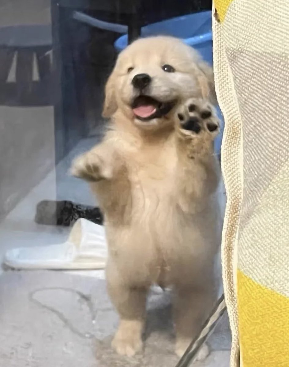 มากอดเลามา