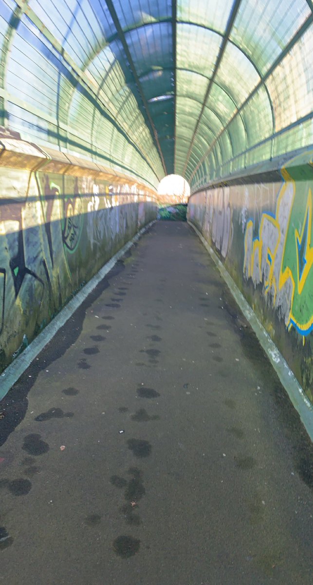 Ori Carr tweet media