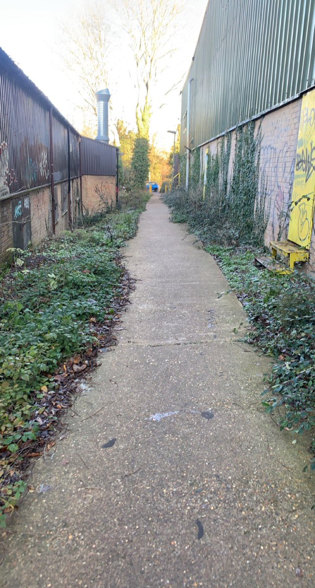 Ori Carr tweet media