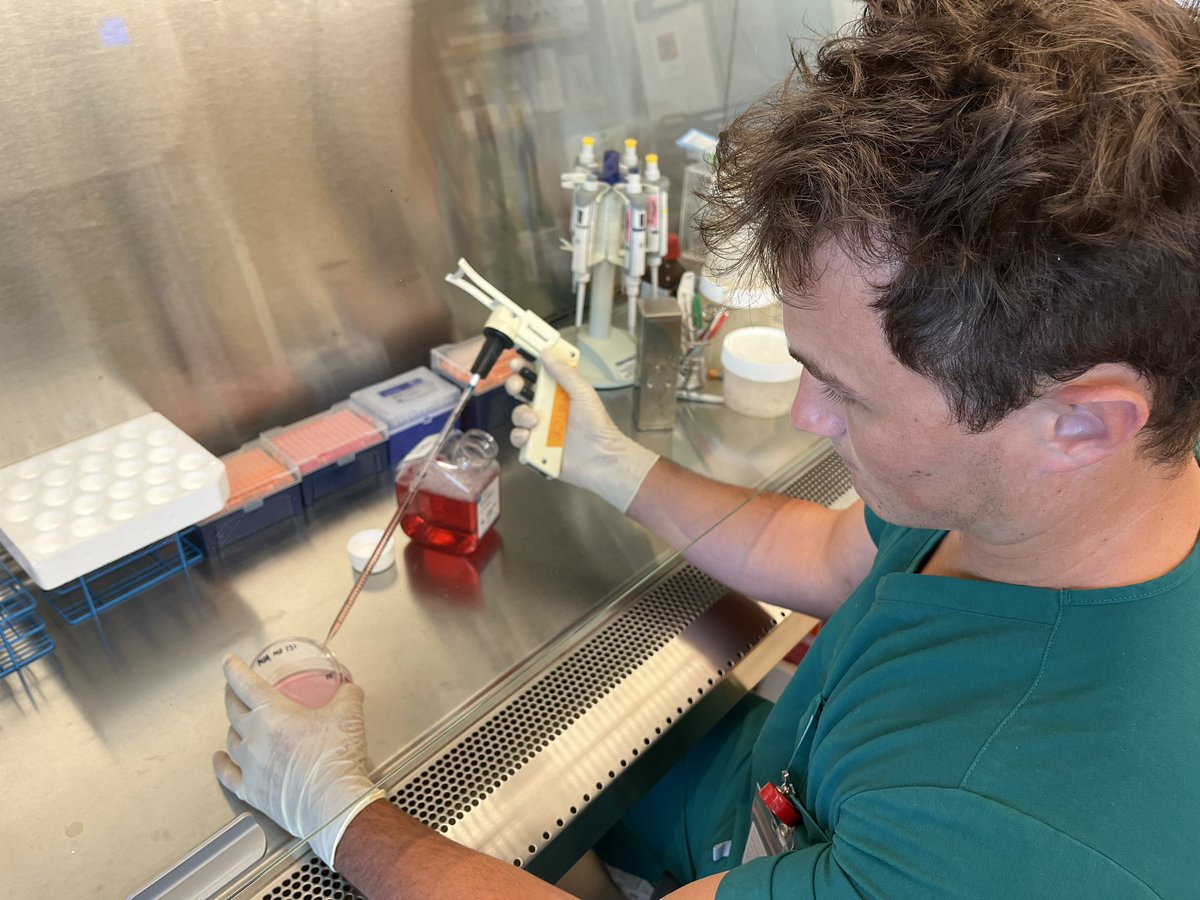 It may be the summertime, but we never take a break from our research efforts at CCRI! Drew Boyd, second year medical student, is culturing cells in order to keep them healthy. Ideally, we want the cells to grow, so we can prepare them for experiments to advance cancer research.