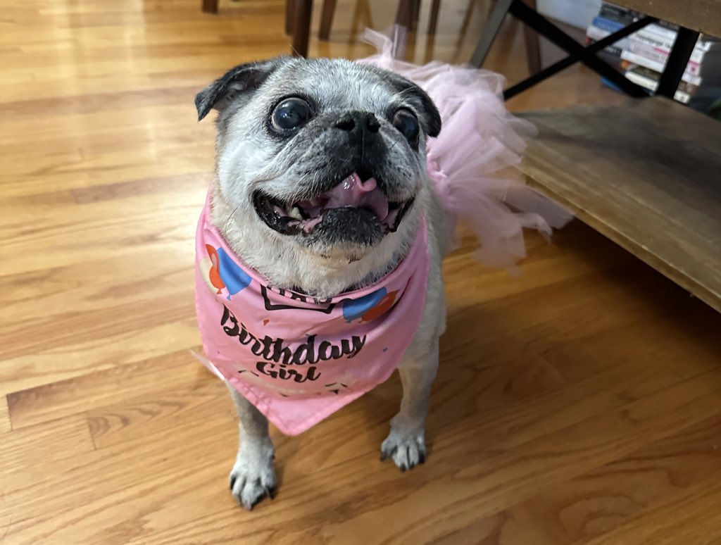 Josh Gondelman tweet media