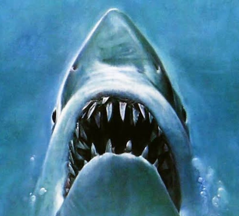 Nedense bu sürmeli fotoğrafı her gördüğümde aklıma JAWS gelirdi.
🤣🤣🤣

#menzil
#Gavs 
#Jaws