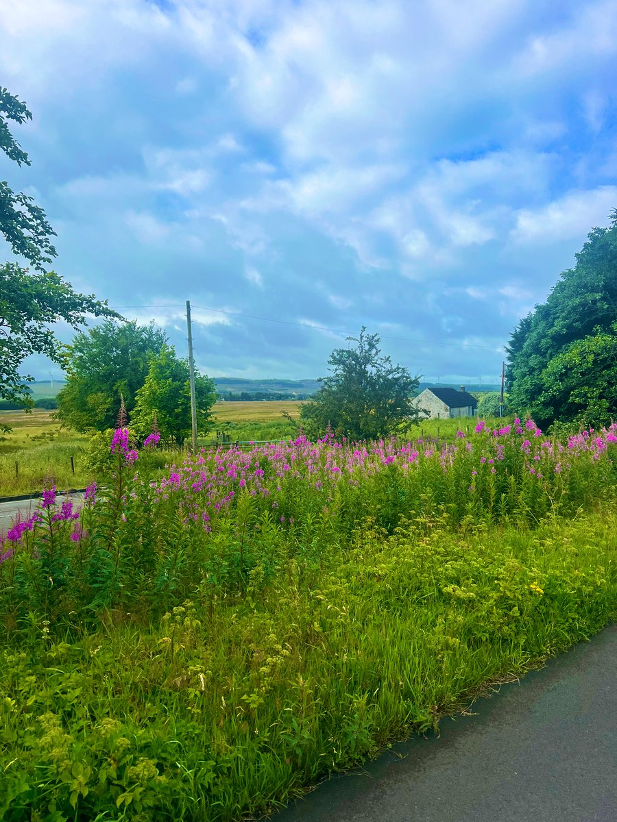 You really appreciate the little things in life when you move away from home - fresh air, greenery, lovely views and getting outside 💚 Missed this!