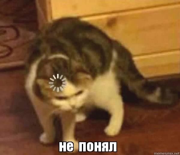 angik_harris's tweet photo. Начала читать гончую, вчитываюсь в происходящее, а потом гг такая: А вот в телевизоре….
И я просто: 
#клубромантики https://t.co/y9zqHpqgEh