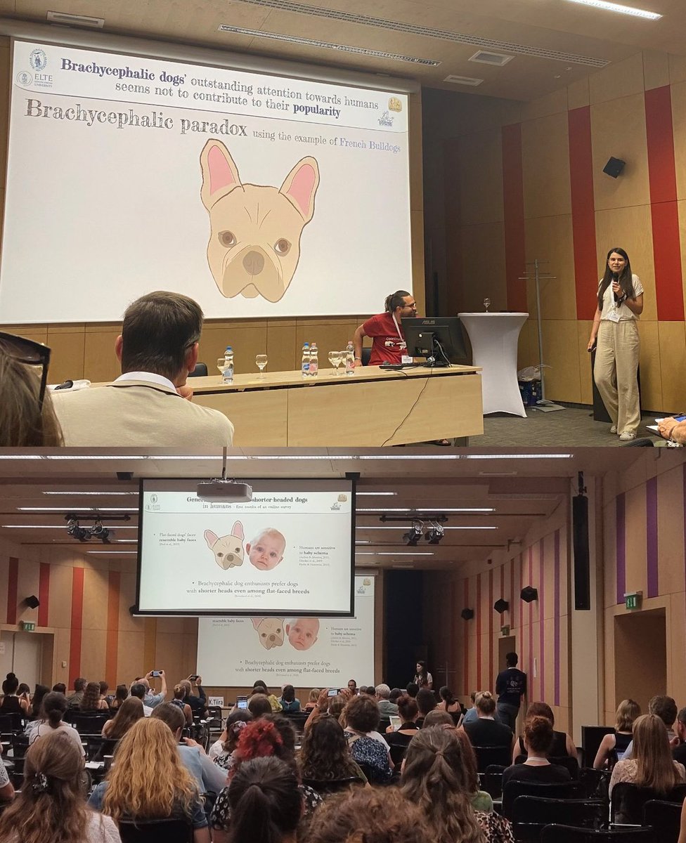 Zsófia Bognár (@zsfiabognr1) on Twitter photo After all the stress of conference organization and worrying about whether everything goes well, I also presented my results at #CSF2023. By the way, I can't think of anything scarier than speaking in front of hundreds of scientists. 👩🏫 After all the stress of conference organization and worrying about whether everything goes well, I also presented my results at #CSF2023. By the way, I can't think of anything scarier than speaking in front of hundreds of scientists. 👩🏫