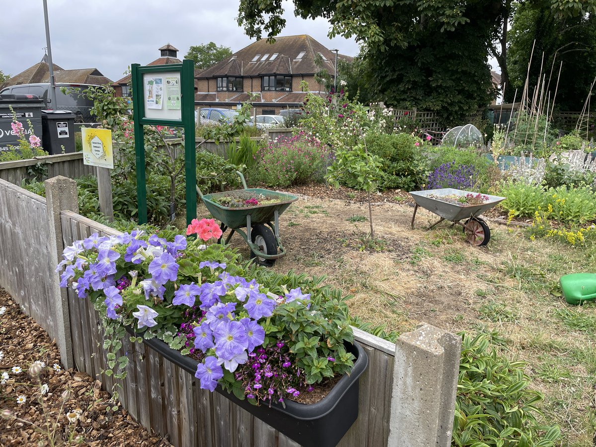 Visiting all the amazing IYN #communitygarden projects is such an uplifting and inspiring experience @RHSBloom Well done all those visited so far in our region 👏🏻🌹