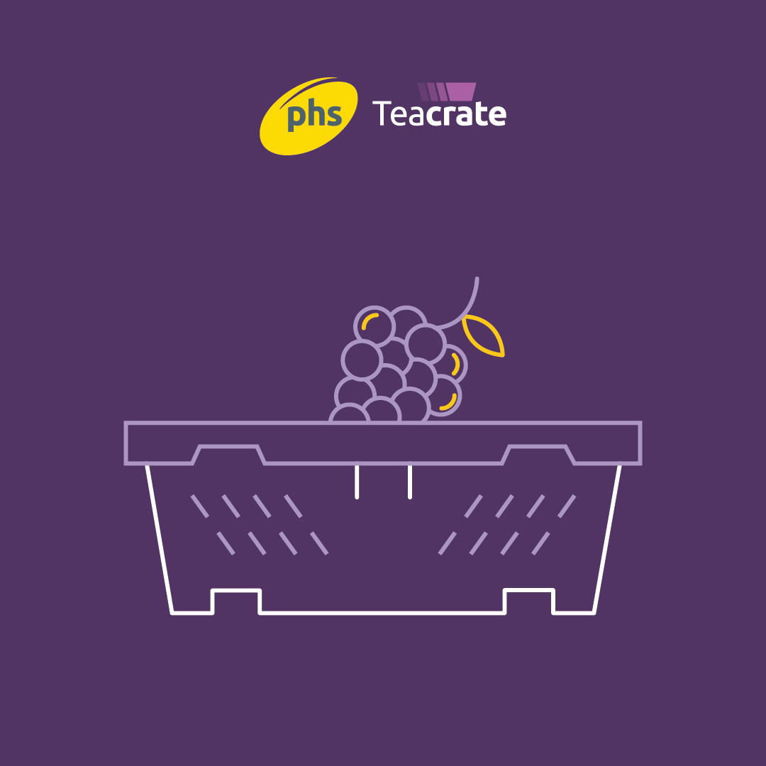 TeacrateJ's tweet photo. Calling all Vineyards...Harvest is just around the corner and we're here for all your picking bins and crates . You've worked so hard to produce perfect grapes, let phs Teacrate look after it during harvest and transportation #harvest2023 #vineyards #wine #grape https://t.co/EuqXV3LOOG
