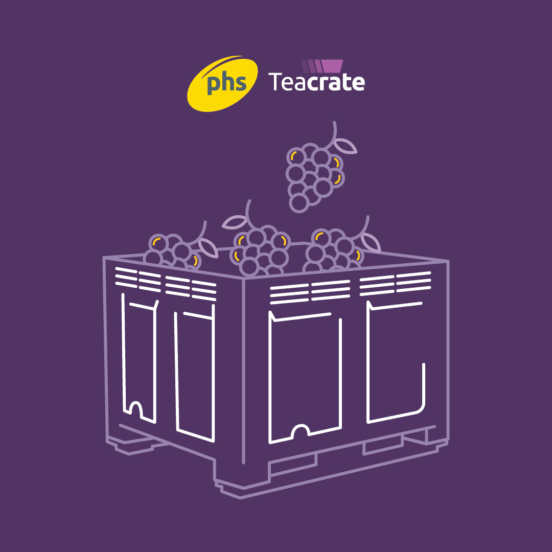 TeacrateJ's tweet photo. Calling all Vineyards...Harvest is just around the corner and we're here for all your picking bins and crates . You've worked so hard to produce perfect grapes, let phs Teacrate look after it during harvest and transportation #harvest2023 #vineyards #wine #grape https://t.co/EuqXV3LOOG