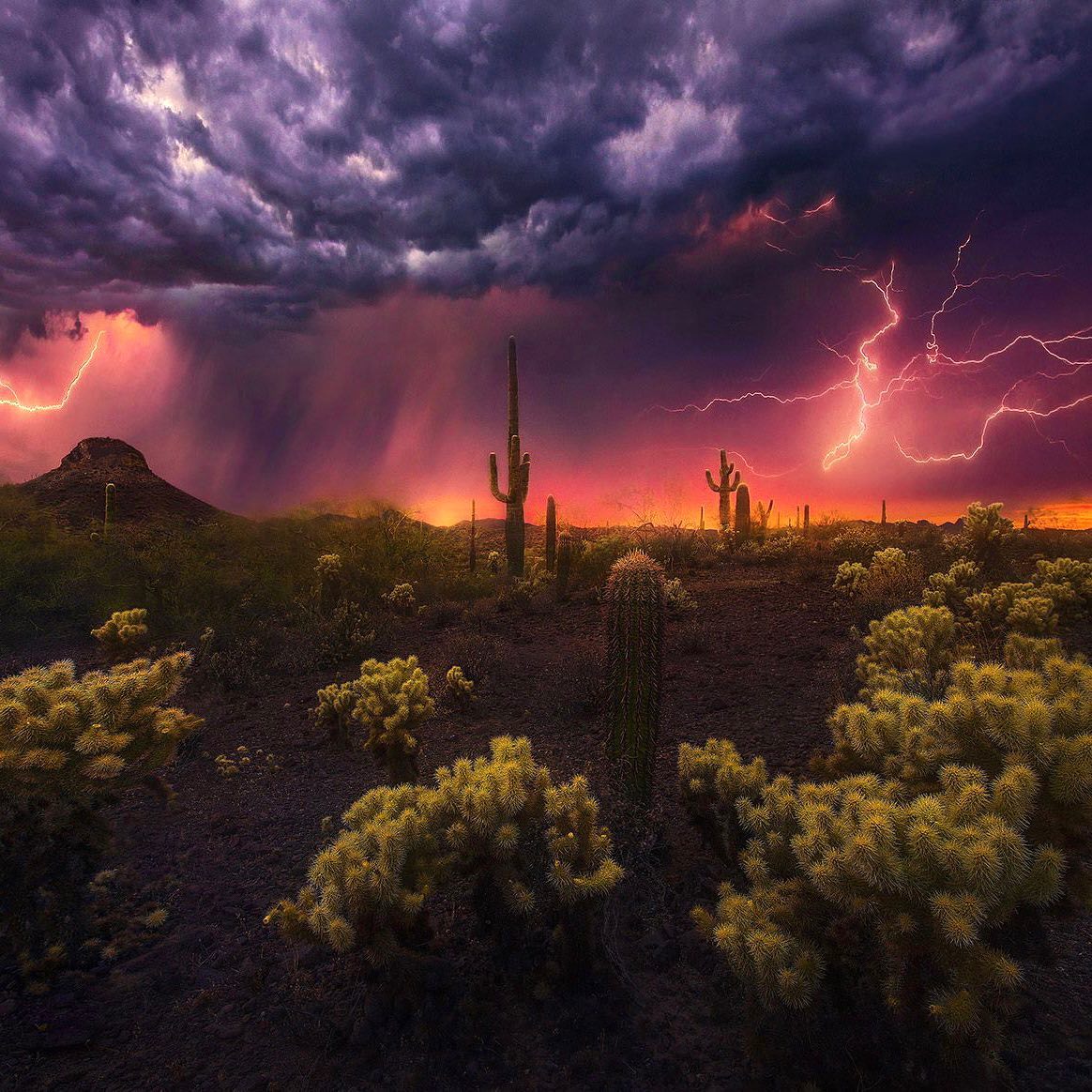 DestiUSA's tweet photo. Arizona sunset
Follow us : 🇺🇸 https://t.co/fEzcTOfBxT 🇺🇸
#StandWithUkraine 🇺🇦
#DestinazioneUSA #StatiUniti #travelusa #travel #usa #travelphotography #travelgram #roadtrip  #travelblogger #usatravel #roadtripusa  #usatrip  #america #traveltheworld #travelamerica https://t.co/thJgcyZe7i