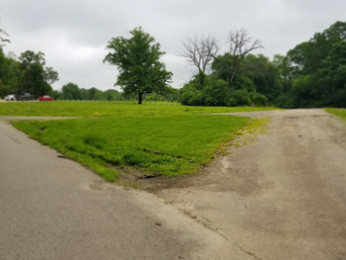 I walk down the drive toward the long sidewalk to the corkscrew road that leads me to town, wondering how the cane left by itself and where it had decided to go.
#BryonySeries #Excerpt #LycanthropicSummer #werewolf
https://t.co/NJU3rm4It7 https://t.co/4gi6UOPlAz