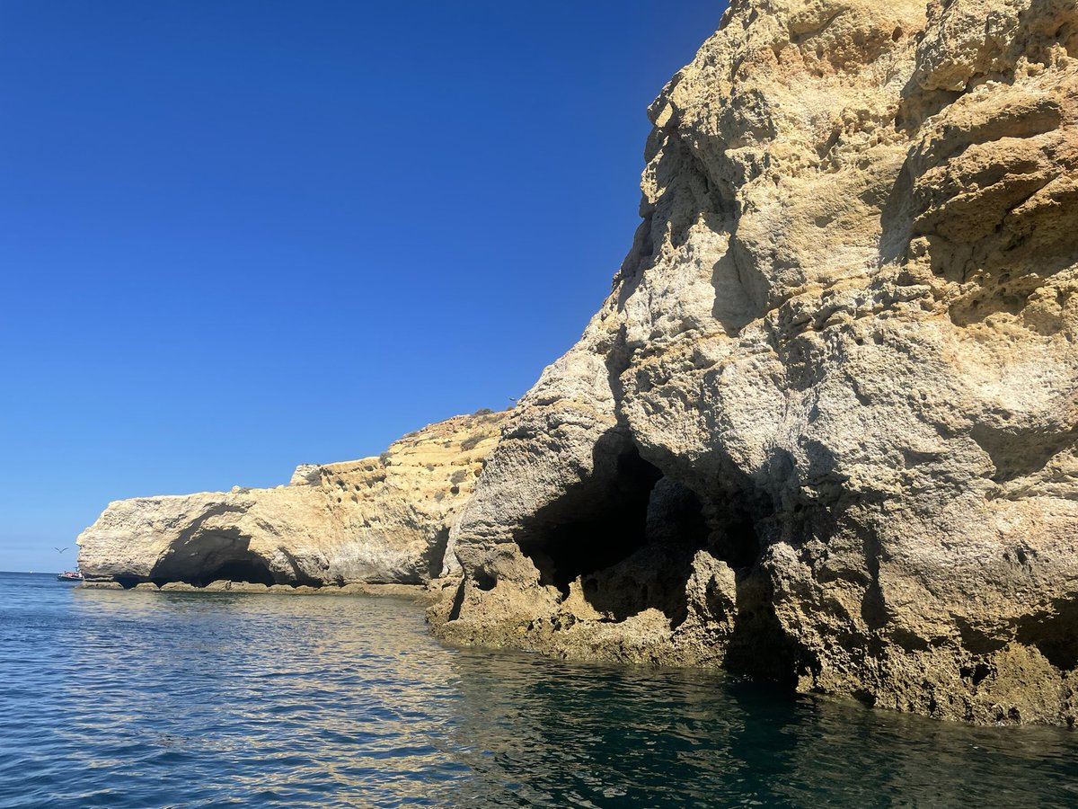 Nacho_Garcia tweet media