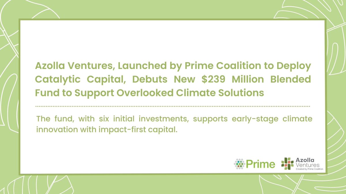 Azolla Ventures tweet media