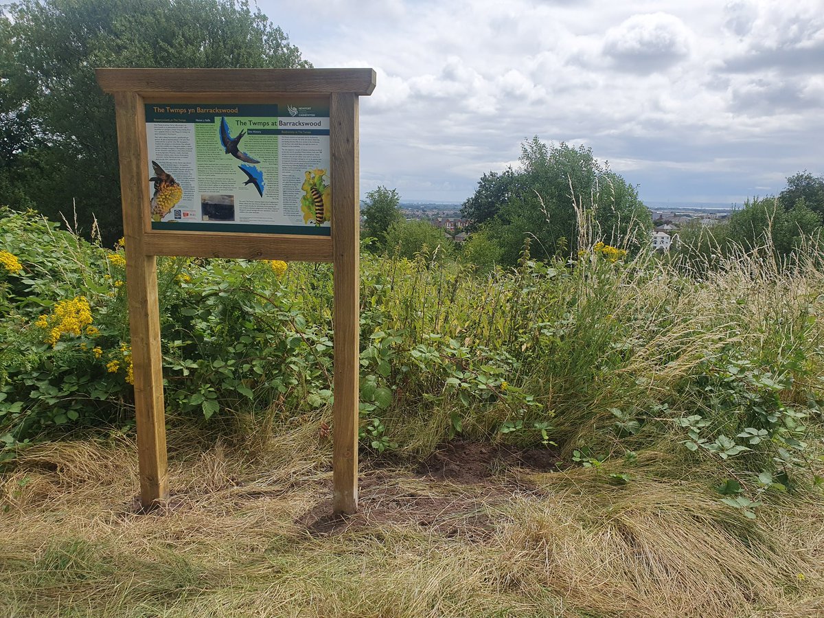 This lovely interpretation board has been put in at the Twmps Barrackswood. With thanks to @BuglifeCymru @WCVACymru who have worked with us and the Twmps Nature Conservation Group to create and install the board. #Newport #biodiversity #newportpollinatorproject