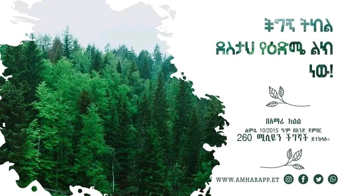AppAmhara's tweet photo. “ሠርግ ደግስ ደስታህ ያንድ ቀን ���ው።
ተደሰት ተሸለም፣ ደስታህ ያንድ ወር ነው።
ችግኝ ትከል ደስታህ የዕድሜ ልክ ነው"
•~•~•
"የጎሃ ቃልኪዳናችን የከፍታችን ልክ 
ቃላችንን ፈፅመን ከፍታው ላይ እንገናኝ"
#amharaprosperityparty https://t.co/9aM9x7s9pZ