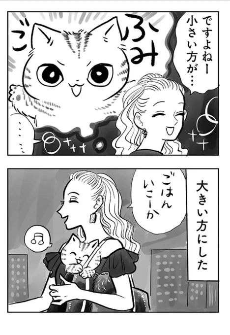 (2/2)陽子おねいさん血の宿命か⁉️  気になる続きはレタスクラブさん🥬に掲載中🐱 https://www.lettuceclub.net/news/article/1143788/  トラと陽子、単行本発売中です! Amazon https://www.amazon.co.jp/gp/product/4047372242/ref=dbs_a_def_awm_hsch_vapi_tu00_p1_i3  楽天 https://books.rakuten.co.jp/rb/17263154/  honto https://honto.jp/netstore/pd-book_31923293.html  ebook https://ebookjapan.yahoo.co.jp/books/724523/