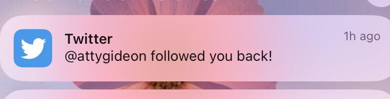 Abogada 입니다 🪬 tweet media