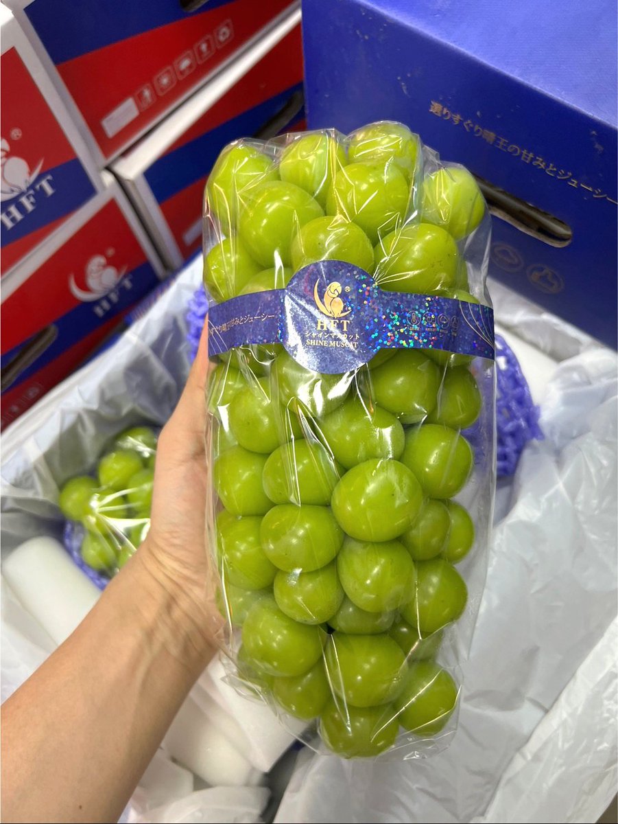 Gpremiumfruits's tweet image. 🍇 องุ่นเขียวไชน์มัสคัตนกแก้ว 🍇
ไซส์บิ๊กเบิ้ม ใหญ่ม๊ากกกกก
1 ช่อ 1-1.2 kg. 850฿
2 ช่อหนัก 2.7 kg. 1,590฿