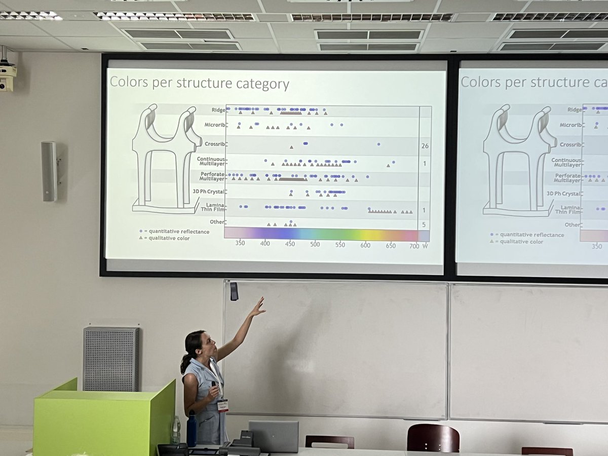 MichalBartak2's tweet photo. @RachelCThayer presented a meta-analysis of butterfly structural colors: color range and phylogenetic distribution of various optical nanostructures in wing scales during the eco-evo-devo session at #bob2023 https://t.co/cm1DJ2zO3r